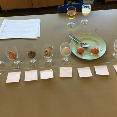 This week we conducted a very exciting science experiment!